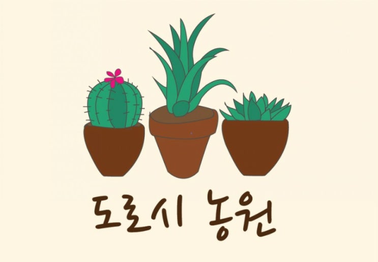  코노피튬 리톱스 파종하기