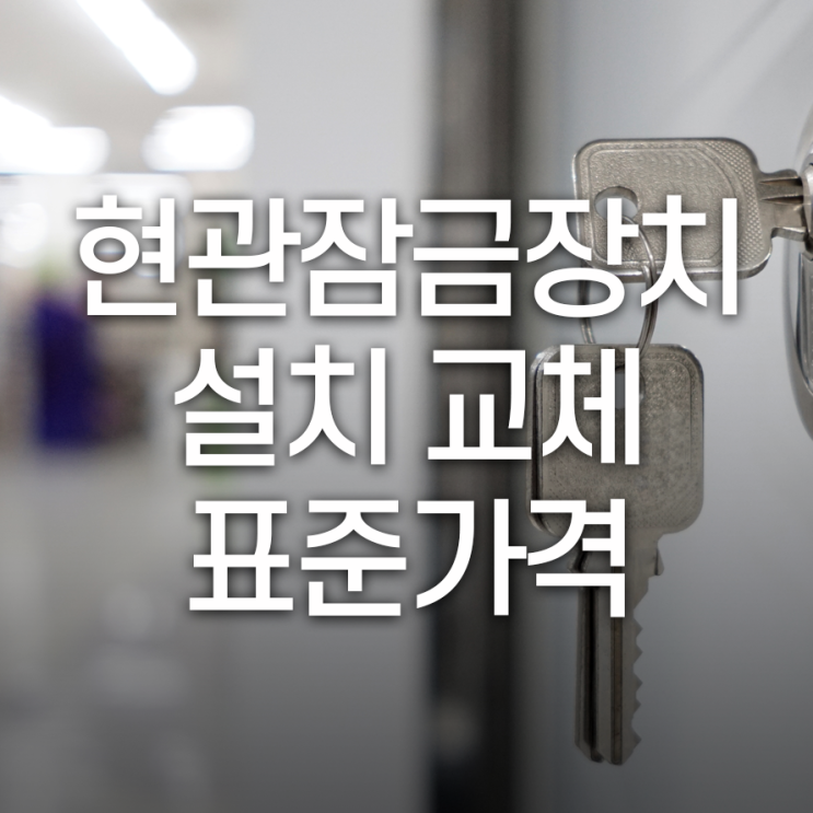 현관 잠금장치 설치, 적은 비용으로 효율성 좋아요