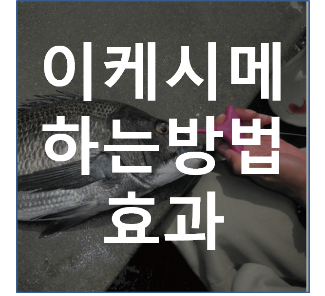  이케시메와 하는 방법과 원리에 대해서 알아보자.