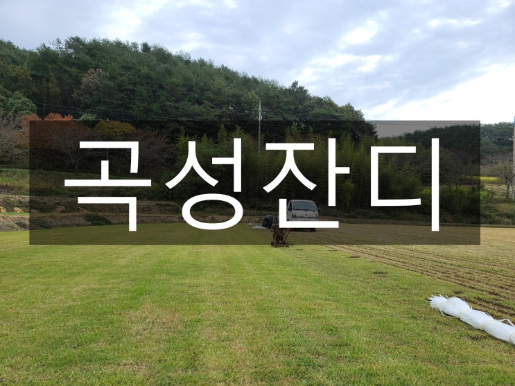  섬진강과 보성강이 흐르는 곡성 잔디 배송