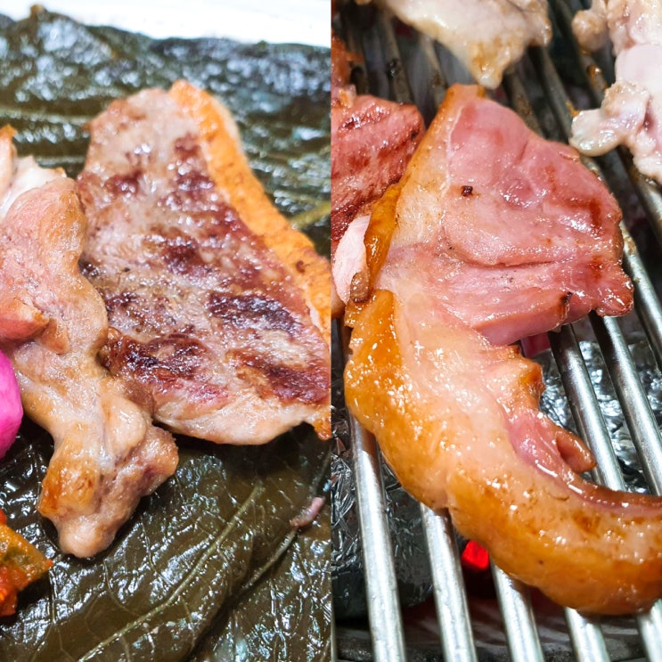  [원주 단계동 맛집] 봉화산유황오리참숯불구이의 오리고기 추천