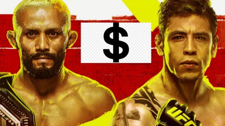 UFC 파이터들은 실제로 얼마만큼 돈을 버는가 UFC 파이터들은 실제로 얼마만큼 돈을 버는가