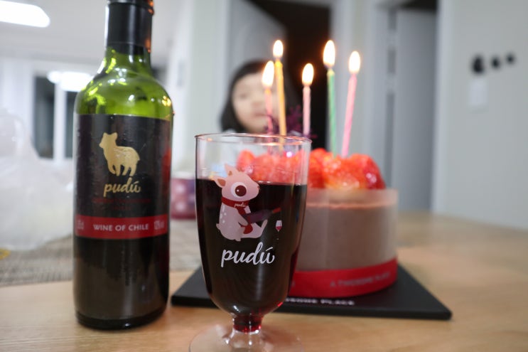  롯데마트 Pudu 푸두 와인 추천_가성비 좋은 와인