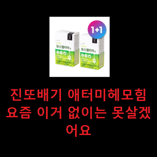 진또배기 애터미헤모힘 요즘 이거 없이는 못살겠어요 진또배기 애터미헤모힘 요즘 이거 없이는 못살겠어요