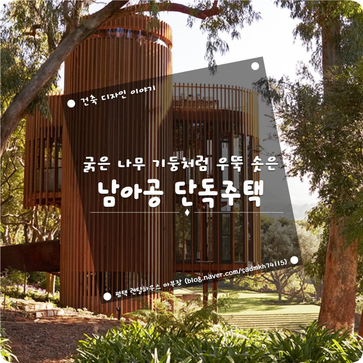  굵은 나무 기둥처럼 숲속에 우뚝 솟아있는 남아공 단독주택