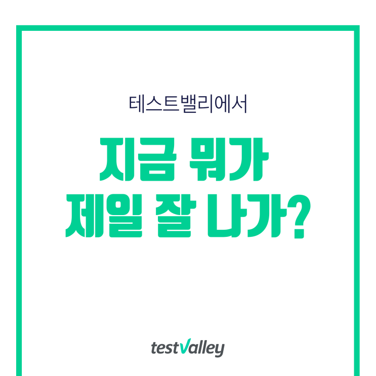 지금 테스트밸리에서 뭐가 제일 잘나가? Best 5 