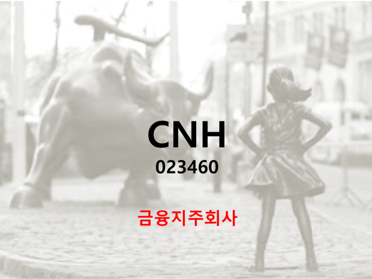  금융지주회사 CNH 주가 배당 실적 (feat. 전고점까지 존버)