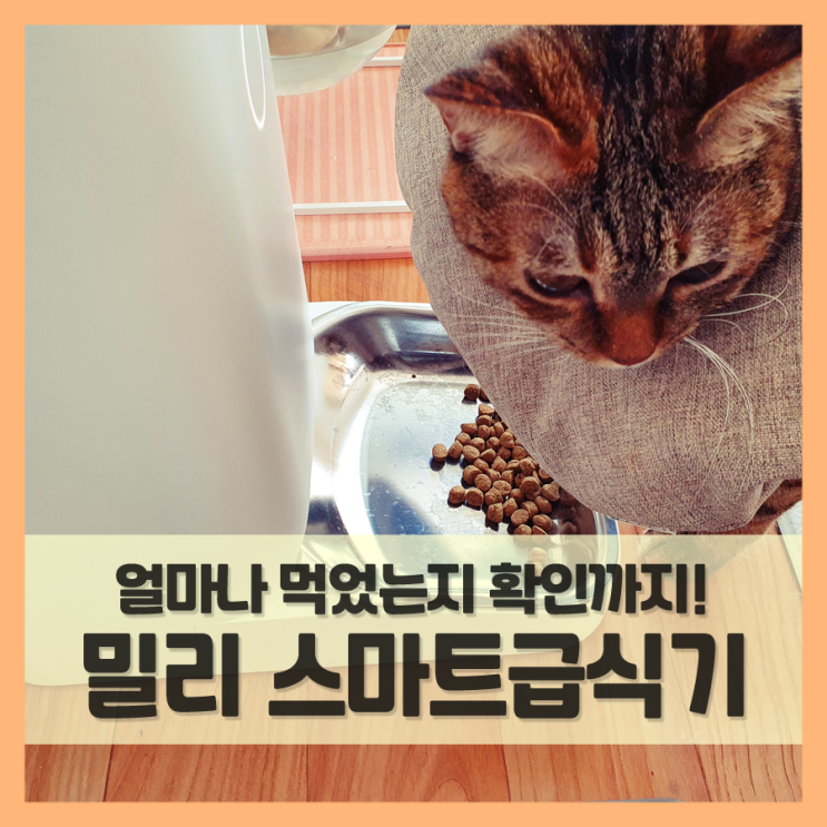  고양이용품 바램펫 밀리 고양이 스마트급식기 놀랍네!