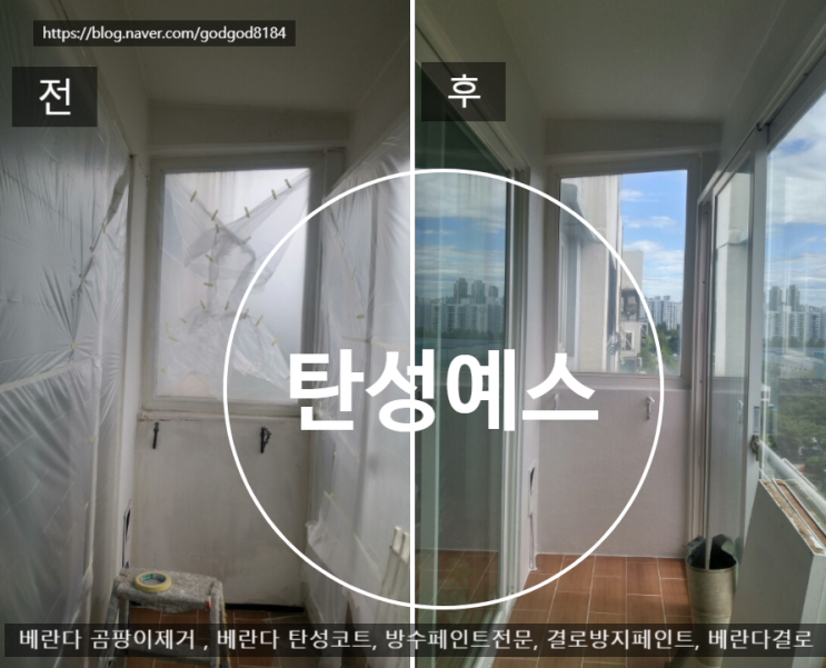  [베란다곰팡이제거]겨울에 곰팡이제거 작업탄성예스