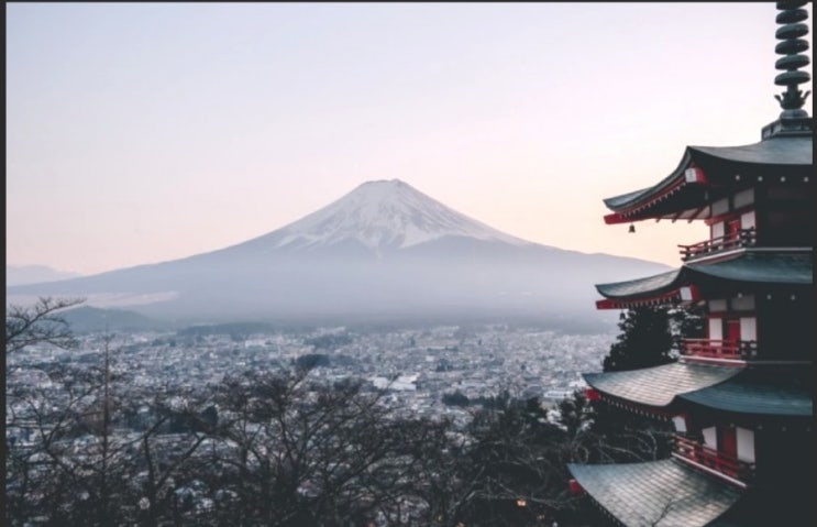  ~そうだ、ようだ、みたいだ　（～인 것 같다)
