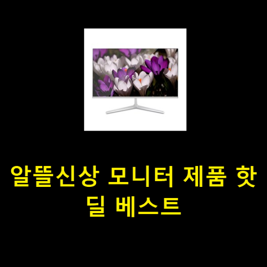  알뜰신상 모니터 제품 핫딜 베스트