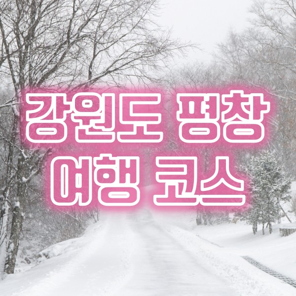  강원도 평창 여행(휘닉스파크 횟집, 눈내리던 대관령하늘목장, 평창 한우 맛집)