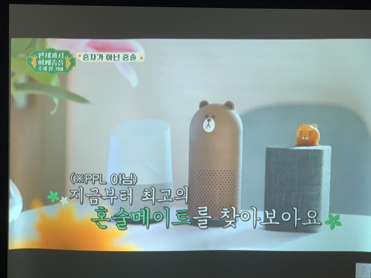  방이동 가족들 다같이 거실 빔프로젝터 TV 스크린 감상후기