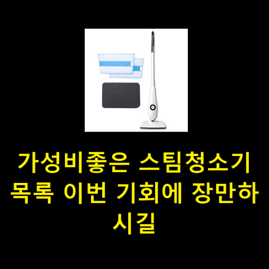  가성비좋은 스팀청소기 목록 이번 기회에 장만하시길