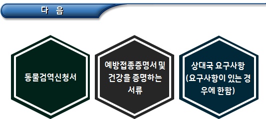 반려동물과 해외여행 및 동물위탁관리업 반려동물과 해외여행 및 동물위탁관리업