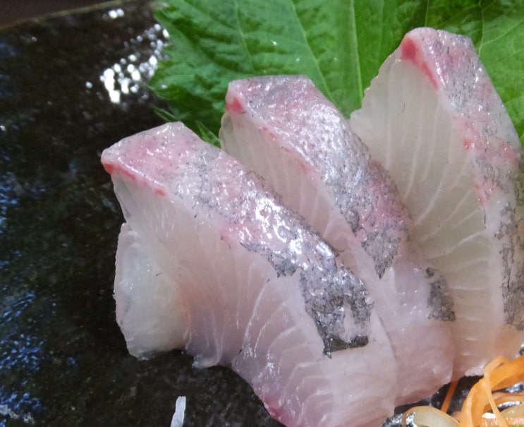 어제 먹은 대방어 회 알고 보니 일본산? 국내산 일본산 구별법은?