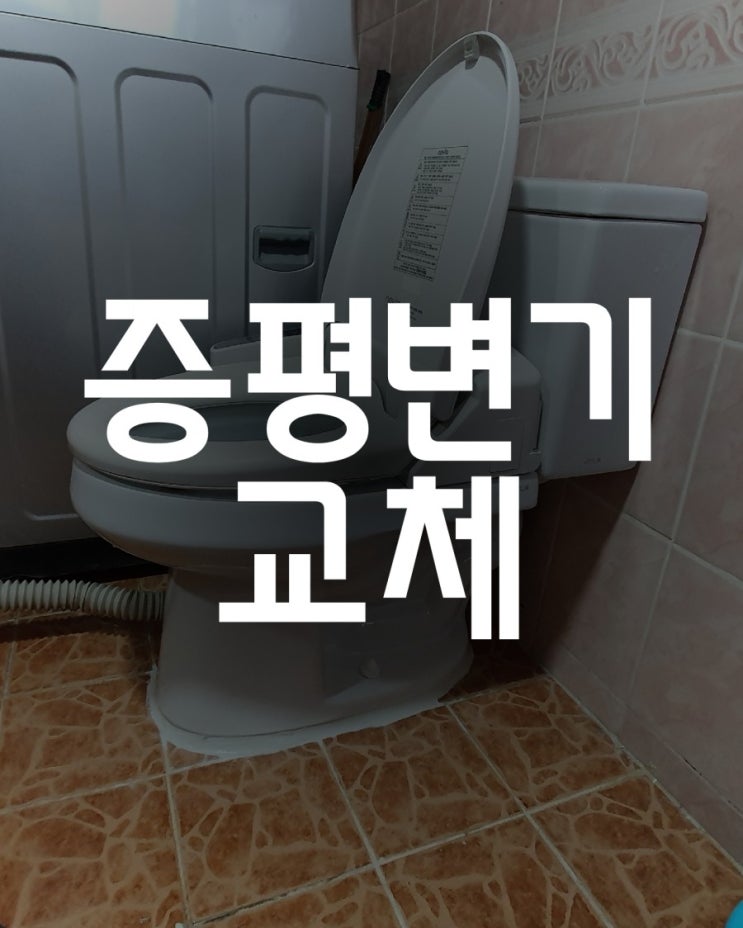  증평 변기 교체 - 증평읍 송산리 주택 변기교체 작업 두번째 후기
