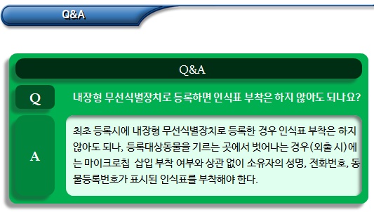 반려동물과 외출할 때 주의사항 반려동물과 외출할 때 주의사항