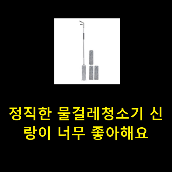  정직한 물걸레청소기 신랑이 너무 좋아해요