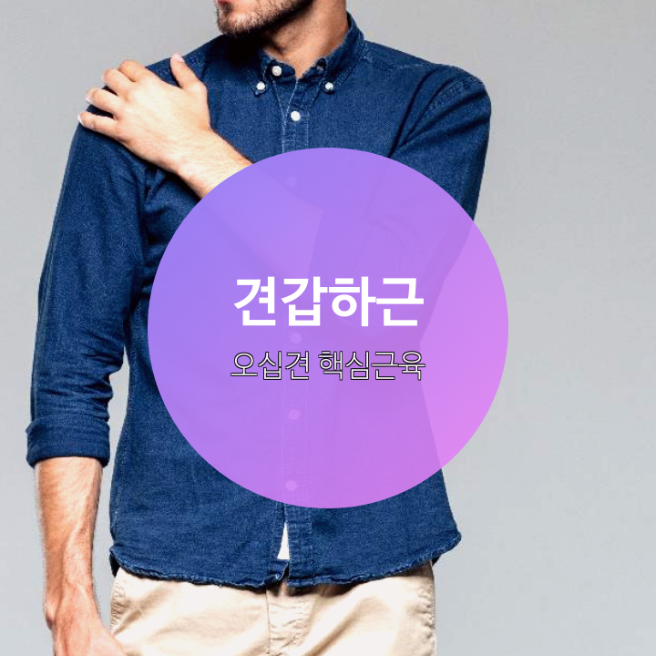  견갑하근 오십견 어깨 통증 핵심 근육 알아두면 좋아요(회전근개part3)