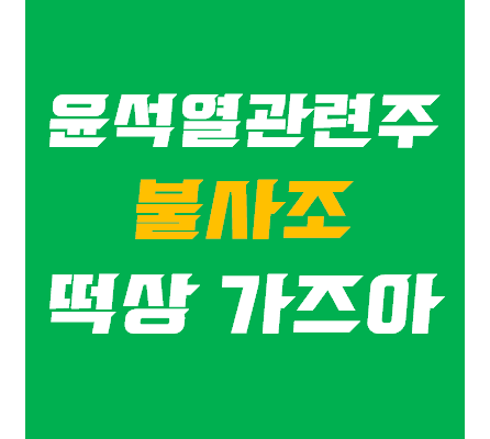  윤석열 관련주 긴급진단 - 덕성, 진도, 서연 주가