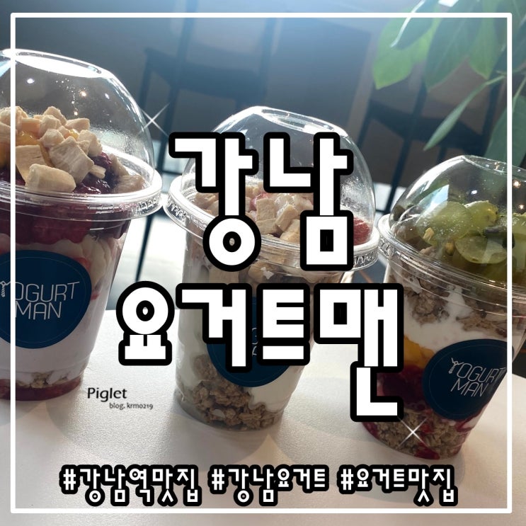  내 마음대로 골라 먹는 수제 요거트 맛집 :: 요거트맨 강남역점 _ 나만의 요거트 [플레인 그릭요거트, 딸기, 코코넛, 말린 무화과, 벌꿀, 연유]