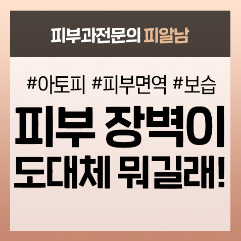  [피부 장벽]피부 장벽을 알면 피부는 바뀝니다