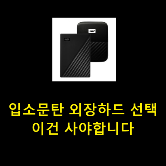  입소문탄 외장하드 선택 이건 사야합니다
