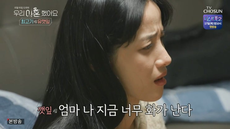 최고기 유깻잎 이혼사유 원인 최고기 유깻잎 이혼사유 원인