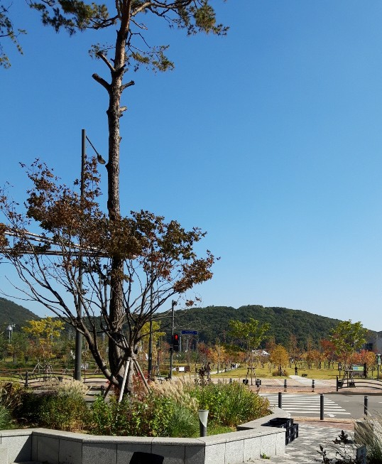  재개발 재건축 공원일몰제 도로편입 하천편입 토지보상 증액 실적-의견서, 이의신청, 영농보상, 수목보상, 지장물보상, 영업보상, 현금청산, 종중 문중토지