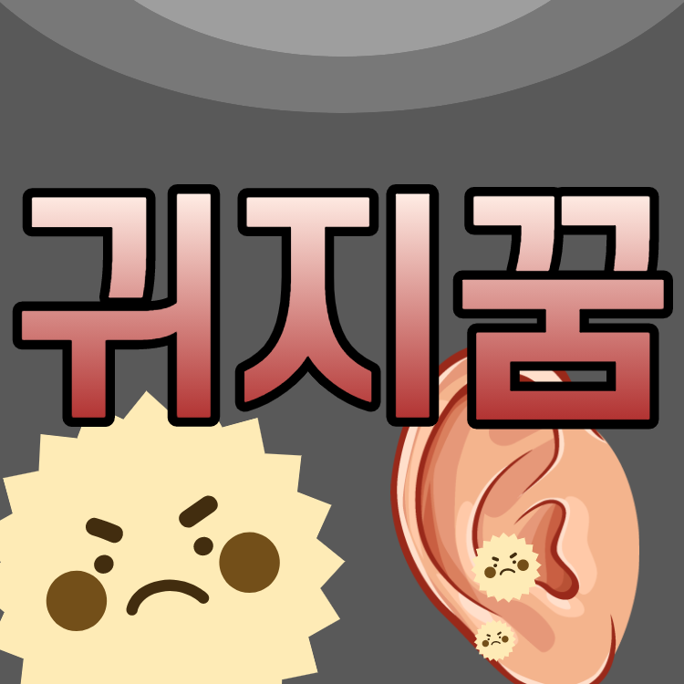 귀지꿈 귓밥꿈 귀지파는꿈 귀파는꿈 귀지꿈해몽