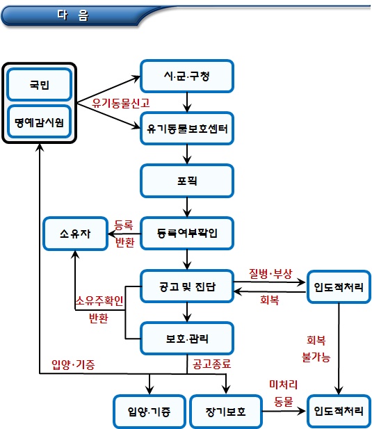 반려동물 유기 금지 및 유기 반려동물 처리절차