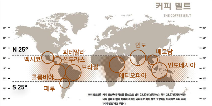  커피의 특성과 종류_커피나무 재배, 커피 열매, 아라비카, 로부스타 특성