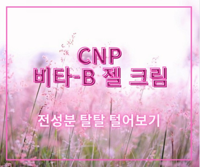 CNP 비타민B 젤 크림 전성분 파헤치기/탈탈털어보기!!