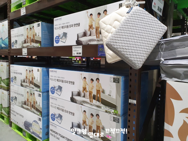 럭스나인 메모리폼 토퍼 트레이더스 할인 행사한대요