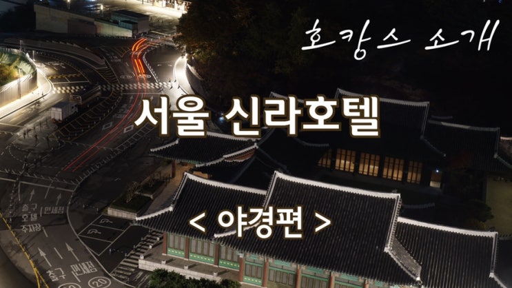  서울신라호텔 야경 신라의 달밤! 야경뷰 / 야간 수영장 서울 추천 호캉스