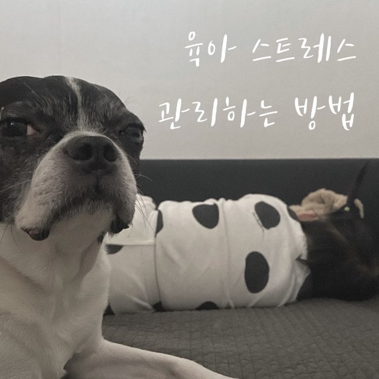  육아 스트레스 관리하는 방법