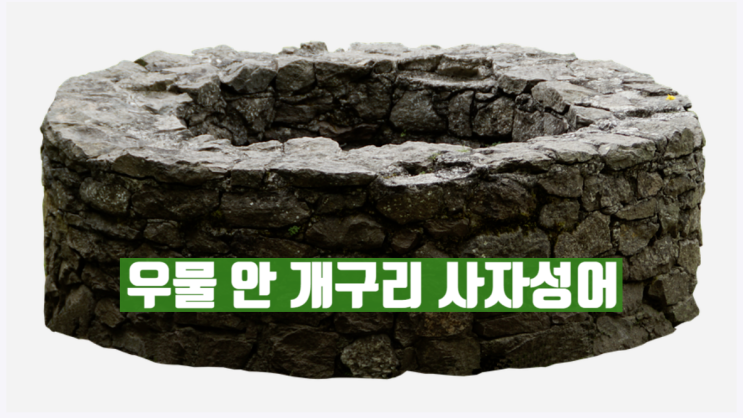  우물안 개구리 사자성어 정중지와 정저지와