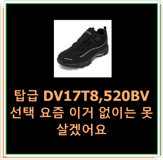  탑급 DV17T8,520BV 선택 요즘 이거 없이는 못살겠어요