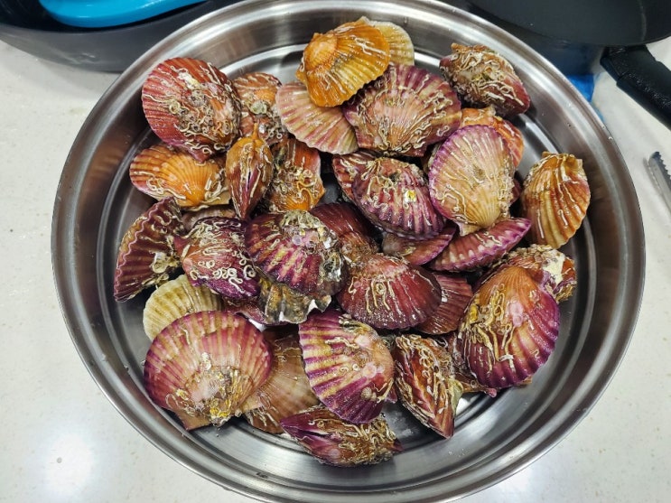 가리비 찜 해먹기 택배로 받은 가리비 찌는 방법 어렵지 않아요.