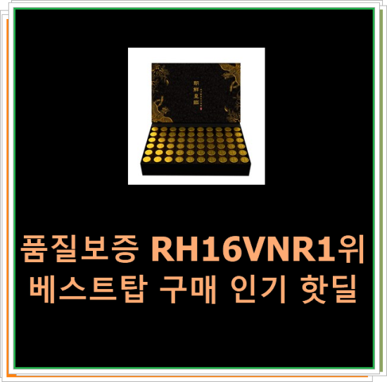  품질보증 RH16VNR1위베스트탑 구매 인기 핫딜