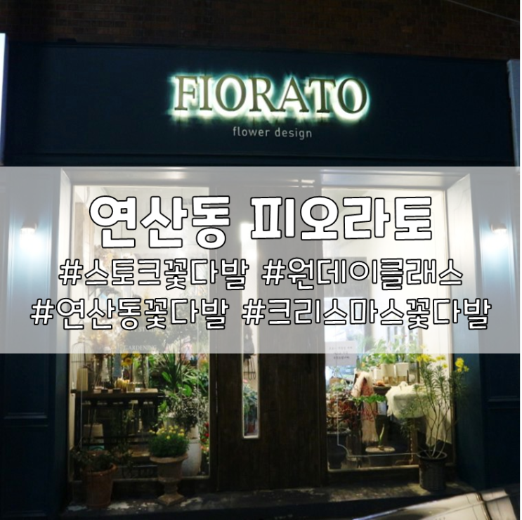  크리스마스 선물ㅣ연제구 꽃집 피오라토에서 스토크 꽃다발로 마음을 전해요