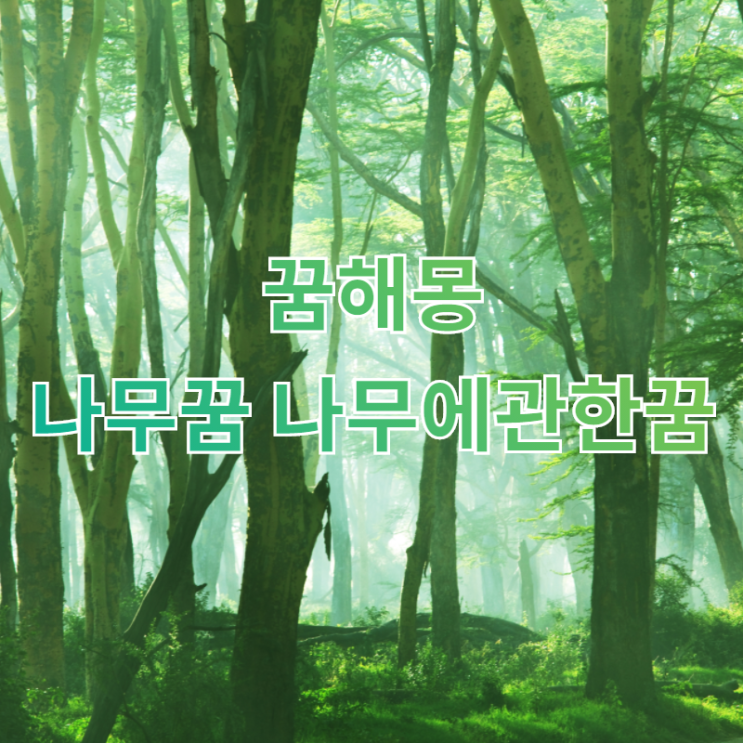 [꿈해몽] 나무꿈 나무에관한꿈