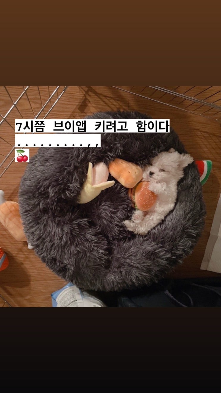  도아가 실수로 올린 대갈이