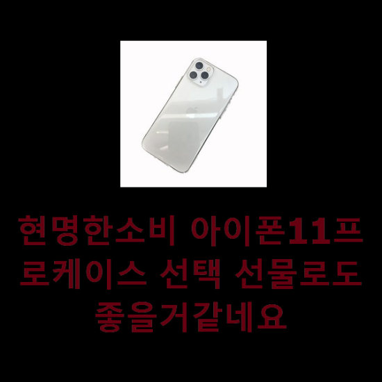   현명한소비 아이폰11프로케이스 선택 선물로도 좋을거같네요