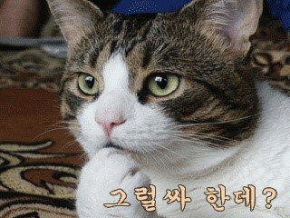  양보와 합의의 차이점을 알아보자.jpg