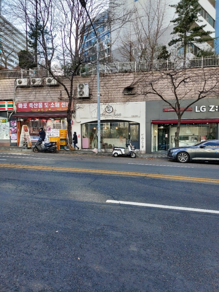  [마포구 공덕역]독앤독(애견미용,애견유치원,애견호텔)공덕역애견미용추천!