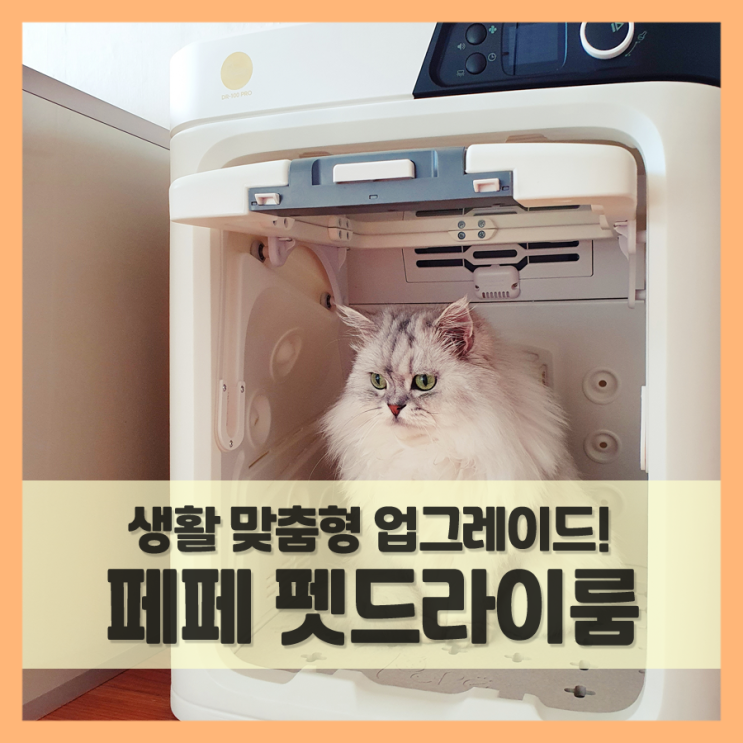  고양이드라이룸 페페 펫드라이룸, 더욱 스마트해지다. (feat. DR-100 Pro)