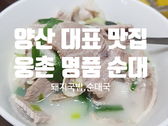 양산 맛집 『 웅촌 명품 순대 』 돼지 국밥 순대국