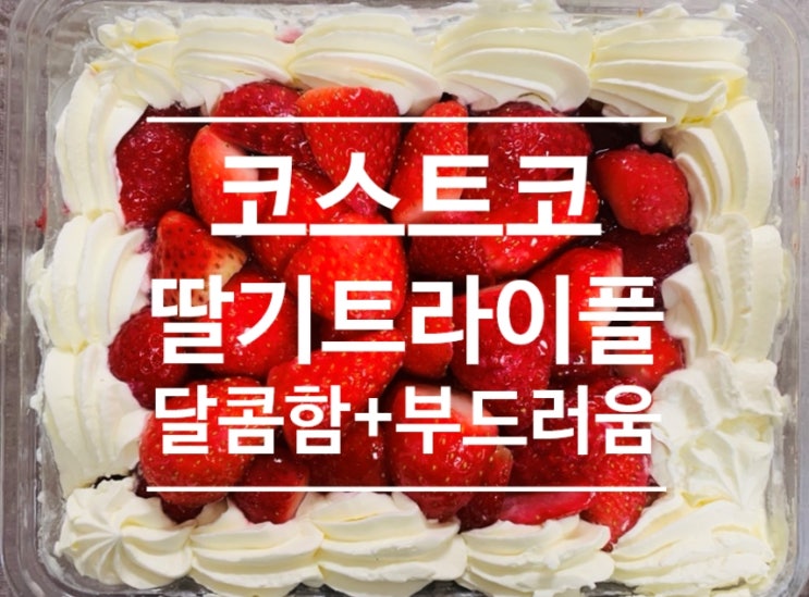  코스트코 딸기트라이플로 달콤함 충전하세요